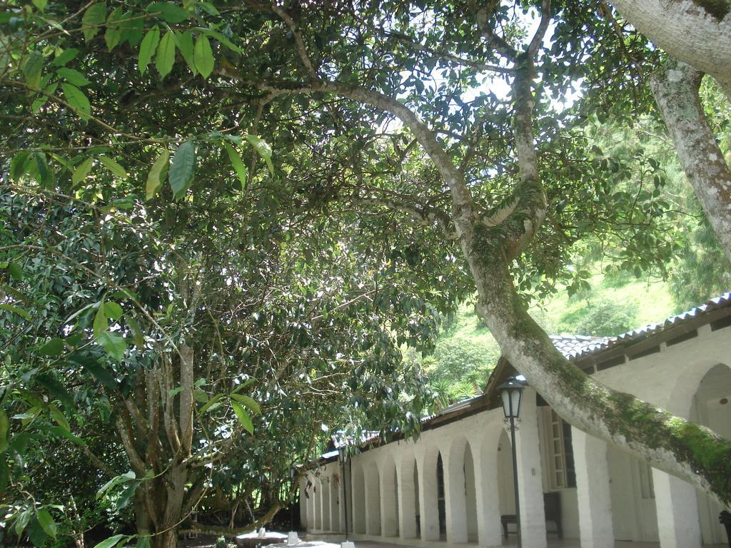 Huigra Hosteria La Eterna Primavera מראה חיצוני תמונה